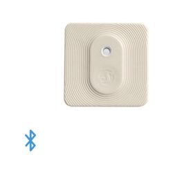 Shelly Blu H&T Ivory